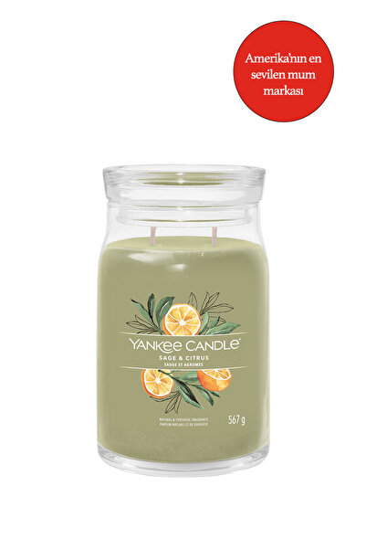 Yankee Candle Sage & Citrus Signature Büyük Mum