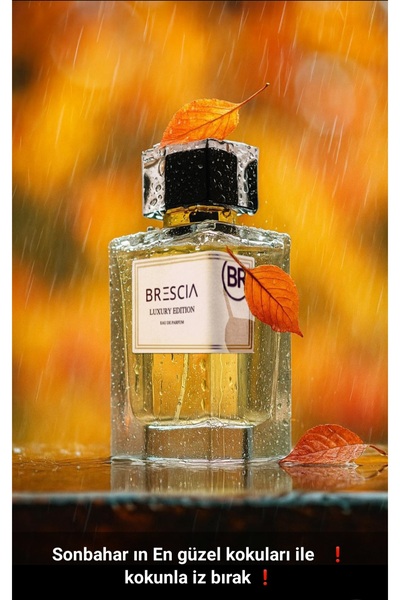 Brescia Luxury Edition L-76 Lbre intens