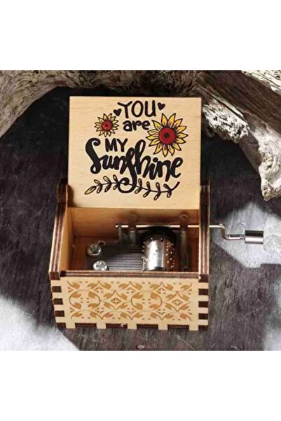 Choice A16 21 Music Boxes Pink White Blue Black Wood You Are My Sunshine Godf...