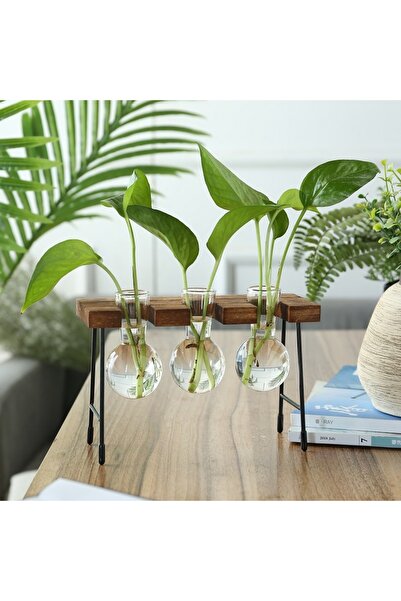 Choice وعاء زراعة مائي بإطار خشبي BD-03 مع لمبة زجاجية - مزهرية نباتات بونساي داخلية للمنزل أو سطح الطاولة