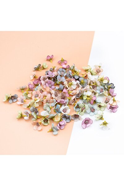 Choice 50 قطعة متنوعة، 50 قطعة، 2 سم، رؤوس زهور ديزي صغيرة متعددة الألوان، زه...