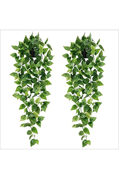 Choice قطعتان من النباتات الخضراء المعلقة الاصطناعية بطول 3.6 قدم، نبات بوتوس...