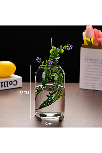Choice قطعة واحدة - مزهرية زجاجية بسيطة وعصرية للنباتات المائية، مثالية لتزيين طاولات المنزل