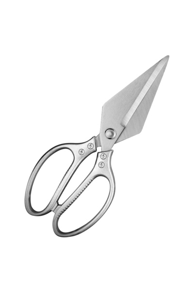 Choice مقص واحد عالي الصلابة لإزالة عظام الدجاج، مصنوع من الفولاذ المقاوم للصدأ، مناسب للمطبخ، بمقبض مانع للانزلاق، مثالي للشواء.