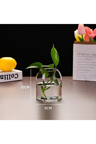 Choice قطعة واحدة - مزهرية زجاجية بسيطة وعصرية للنباتات المائية، مثالية لتزيين الطاولات والمنازل