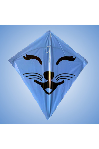 GÜLEN UÇURTMA Naylon Elmas Uçurtma / Kedicik