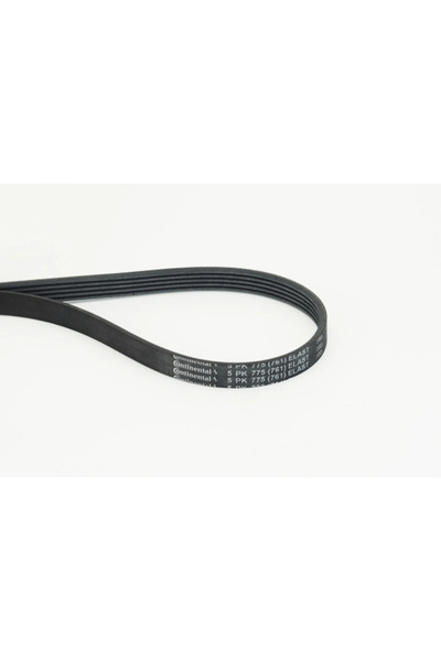 Continental V-Ribbed Belt Ford Transit V363 Bus/Transit V363 Body/Transit V36...
