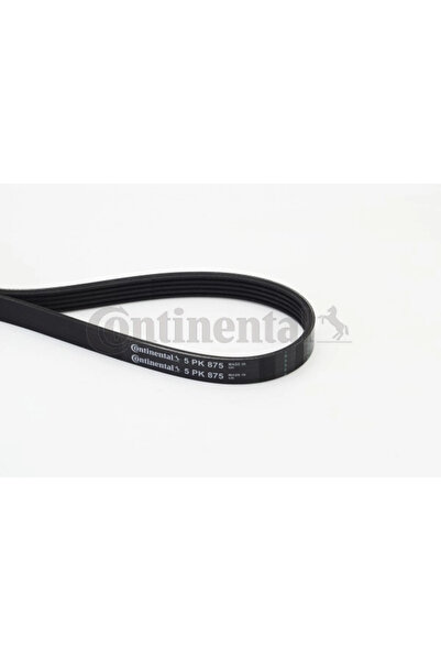 Continental Curea Transmisie Cu Caneluri Alfa Romeo Spider/Sz Daewoo Cielo/Es...