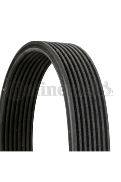 Continental Curea Transmisie Cu Caneluri Bmw 7/X6