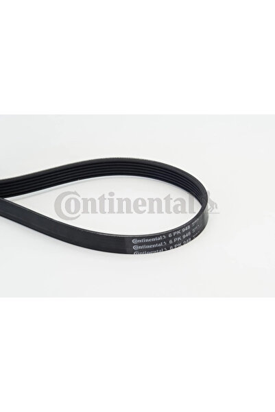 Continental Curea Transmisie Cu Caneluri Audi A3 Honda Accord 6/Prelude 5