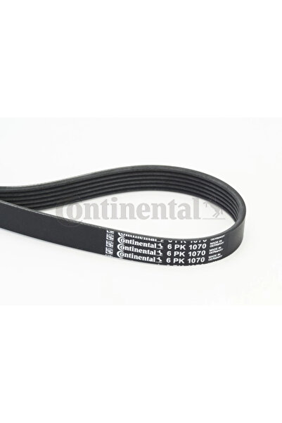 Continental Curea Transmisie Cu Caneluri Citroen Zx Fiat Ulysse