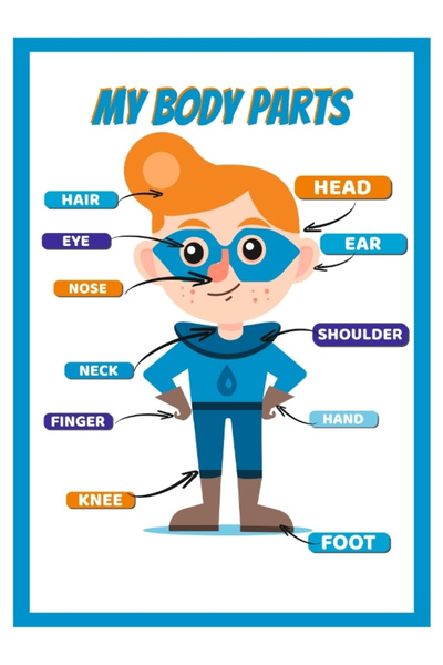 okularenkkat أجزاء الجسم - أجزاء الجسم، ملصق تعليمي للأطفال باللغة الإنجليزية...