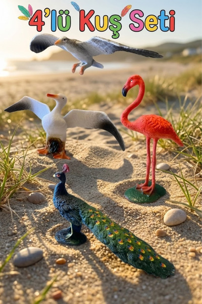 craftivio 4'lü Gerçekçi Kuş Figür Seti - Flamingo, Tavus Kuşu, Martı - Eğitic...