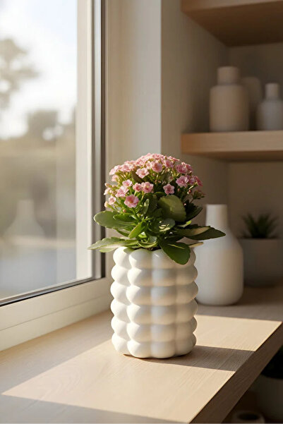 Genel Markalar Beton Dekoratif Biblo Bohem Saksı – İskandinav Tasarım 10 x 17