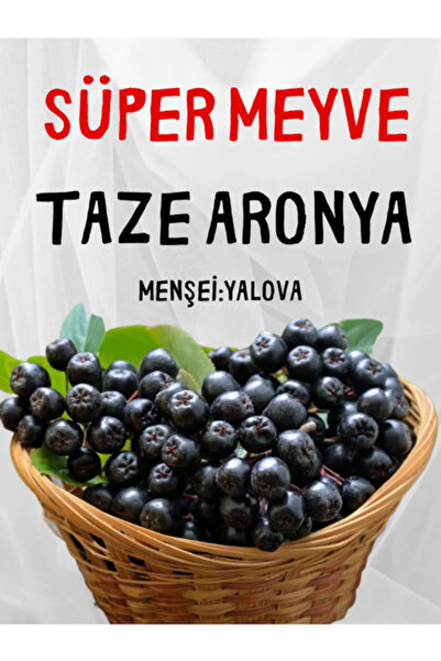 Aktarzane Taze Aronya Meyvesi Aronia Coğrafi İşaretli Yalova Üretim Süper Meyve Aronya 500gr