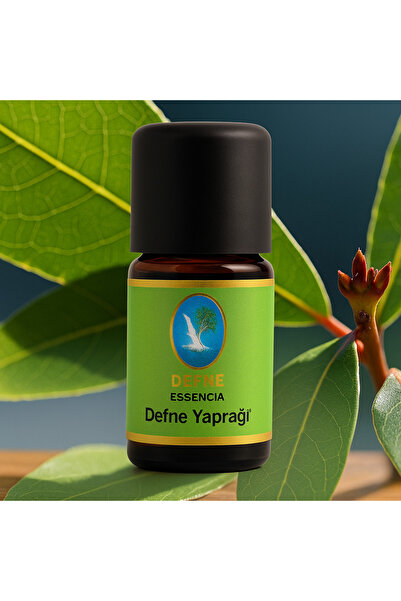 NU-KA DEFNE ESSENCIA ورقة الغار - زيت عطري تقليدي نقي 100% 10 مل