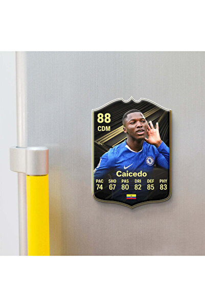 11GOATS Magnet de frigider - Caicedo