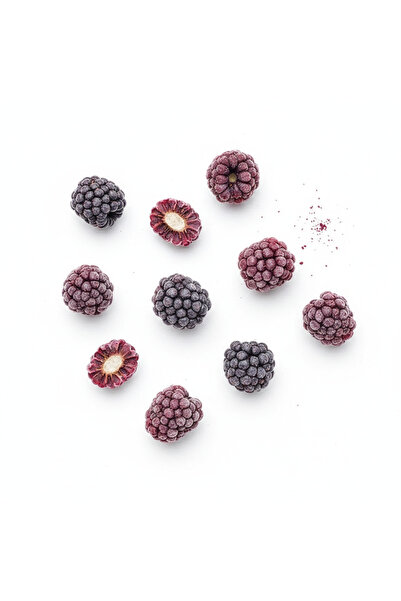Magika Design Dondurularak Kurutulmuş Çıtır Bütün Böğürtlen - Freeze Dried Böğürtlen - Meyve Cipsi