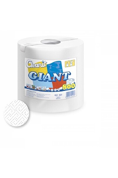 Lucart Cleanit Lucart universal towels, 800 sheets, 240m