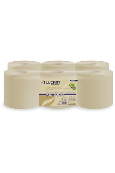 Lucart Prosoape de maini Lucart, Econatural 19 CF, 6 buc/bax