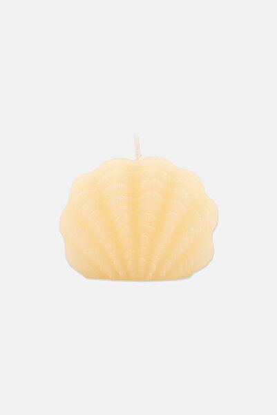 Muy Mucho Decorative Sea Shell Candle