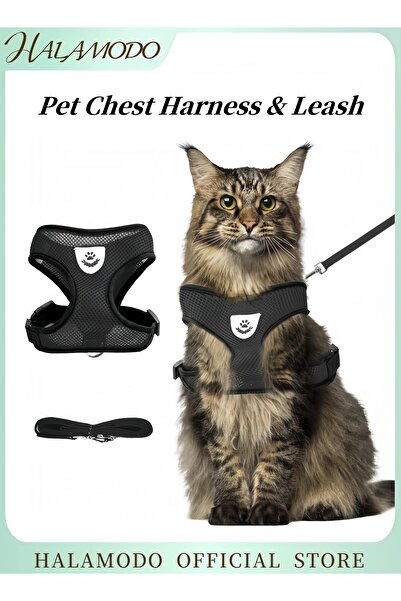HALAMODO طقم صدرية للحيوانات الأليفة مع حزام ومقود، سترة صدرية شبكية ناعمة لل...