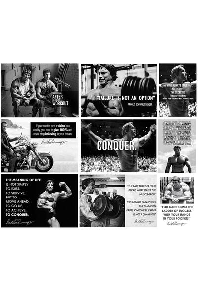 ALAYRA International ملصق ألايرا لأرنولد شوارزنيجر (ورق، 12 × 17 بوصة) - مجمو...