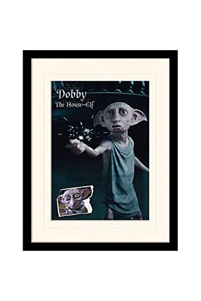 ALAYRA International ALAYRA HARRY POTTER Framed Poster of Dobby The House Elf...