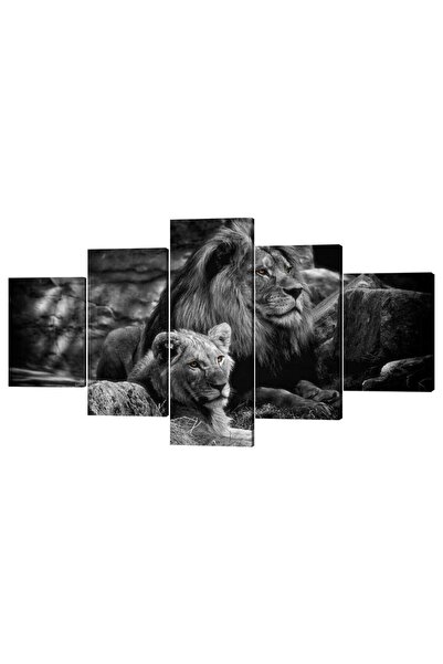 ALAYRA International لوحة جدارية مؤطرة من ALAYRA، صور أسود، ديكور عصري، 5 لوح...