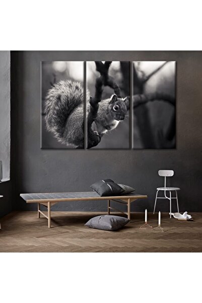 ALAYRA International لوحات فنية من ALAYRA لتزيين جدران المنزل، لوحات سنجاب، ل...