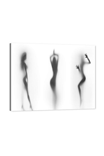 ALAYRA International ALAYRA Bathroom Wall Art Decor Canvas Print Modern Abstr...