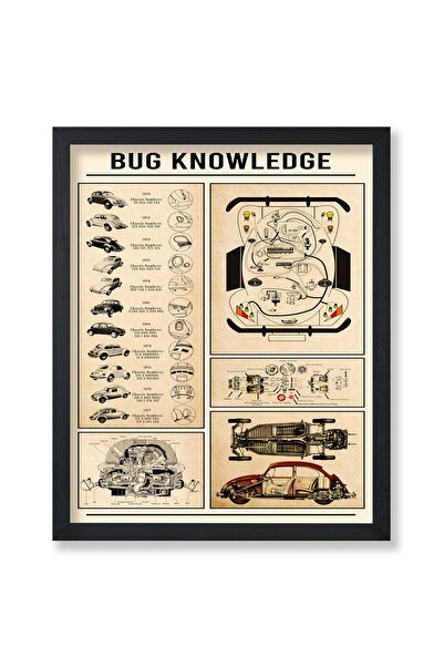 ALAYRA International ملصق ALAYRA - طباعة معلومات أساسية عن الحشرات - ملصق قطع غيار السيارات - فن إنفوغرافيك - جدار طباعي