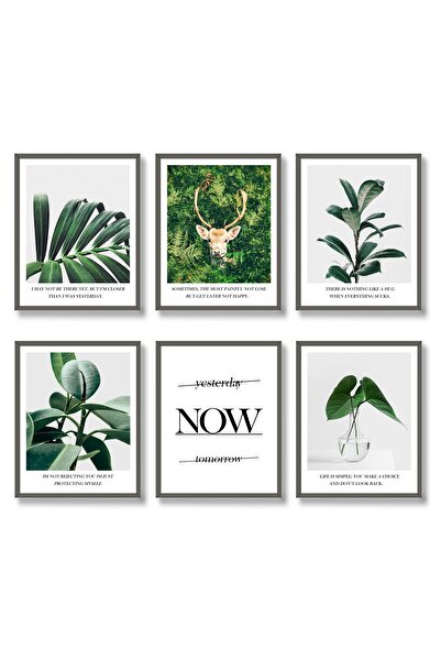 ALAYRA International ALAYRA Botanical Wall Art Print Set of 6 Tropical Motiva...