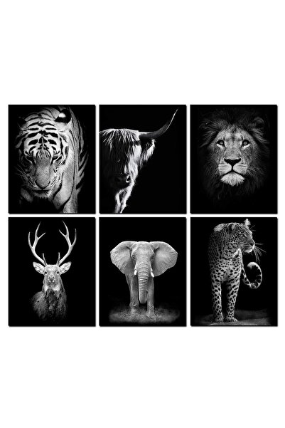 ALAYRA International مجموعة لوحات جدارية من ALAYRA بالأبيض والأسود للحيوانات،...