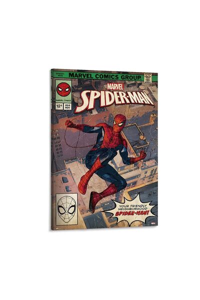 ALAYRA International ALAYRA Movie Spider-Man Poster For Room 24X36INCH Framed...