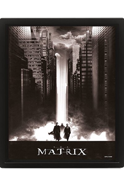 ALAYRA International ملصق ألايرا ثلاثي الأبعاد من فيلم ذا ماتريكس، ملصق جداري عدسي بإطار (تصميم لايتفول) 25 سم × 20 سم