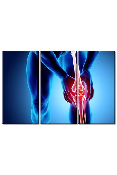 ALAYRA International ALAYRA Skeleton X-Ray 3D Poster Wall Art for Living Room...