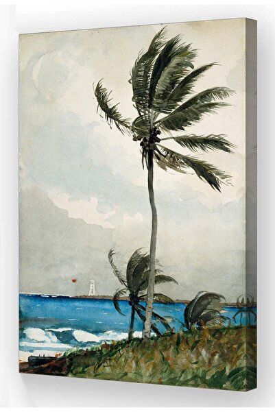 ALAYRA International ALAYRA Vintage Palm Tree Wall Art Famous Paintings Poste...