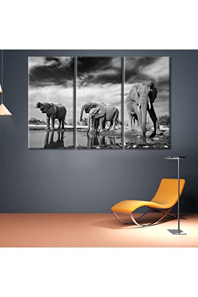 ALAYRA International لوحة جدارية فنية من قماش الكانفاس تصور فيلًا بريًا يمشي ...