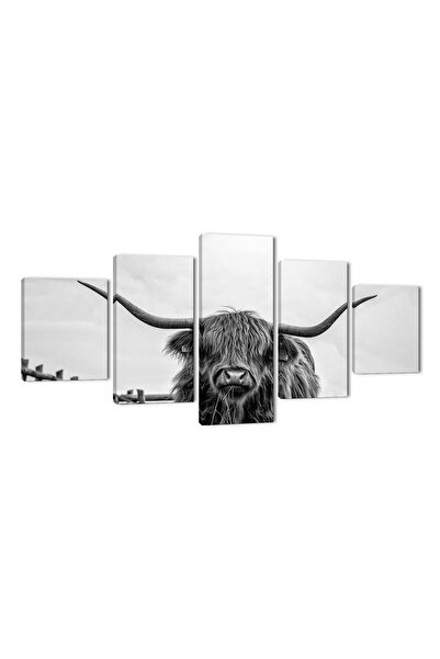 ALAYRA International لوحة جدارية من ALAYRA على شكل بقرة هايلاند، 5 قطع، صور ب...