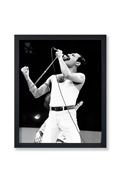 ALAYRA International ملصق ألايرا - ملصق كوين الرئيسي - طباعة فريدي في حفلة لا...