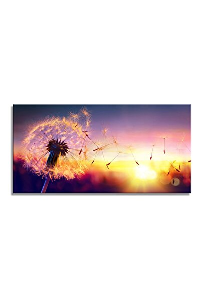 ALAYRA International لوحة جدارية من قماش ALAYRA، صورة لزهرة الهندباء عند غروب...