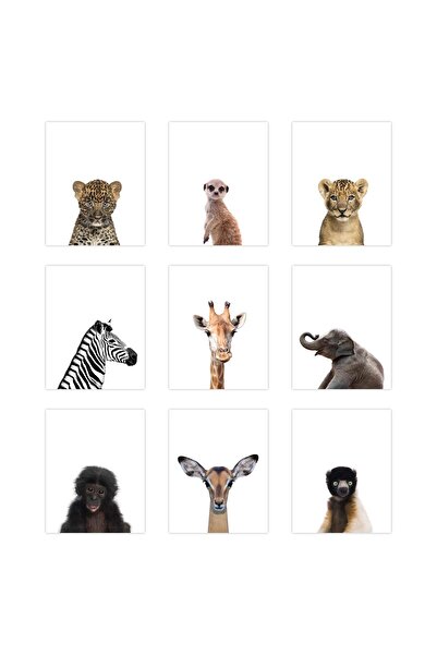 ALAYRA International مجموعة ملصقات حيوانات السفاري التعليمية من ألايرا بالاس (9 ملصقات) - لوحات جدارية لطيفة لحيوانات صغيرة - لغرفة الأطفال