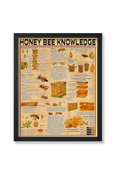 ALAYRA International ملصق ألايرا - ملصق معلوماتي شامل عن نحل العسل - طباعة إنفوغرافية - فن العسل - فن الحيوانات - النحل