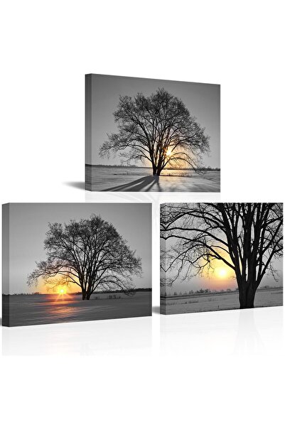 ALAYRA International ألايرا - لوحة جدارية من ثلاث قطع، شجرة بالأبيض والأسود، ...