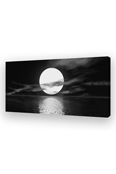 ALAYRA International لوحة جدارية قماشية ALAYRA S06450، صورة قمر مكتمل أبيض بح...