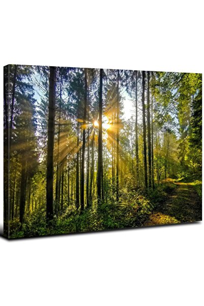 ALAYRA International لوحة جدارية كبيرة من قماش ألايرا، غابة، لغرفة المعيشة، ص...