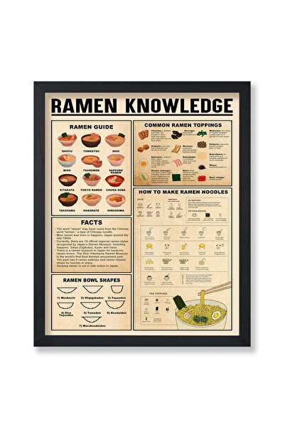 ALAYRA International دليل ألايرا الشامل لعلم الرامين - تصميم فني إنفوغرافي - طباعة طعام وشراب -