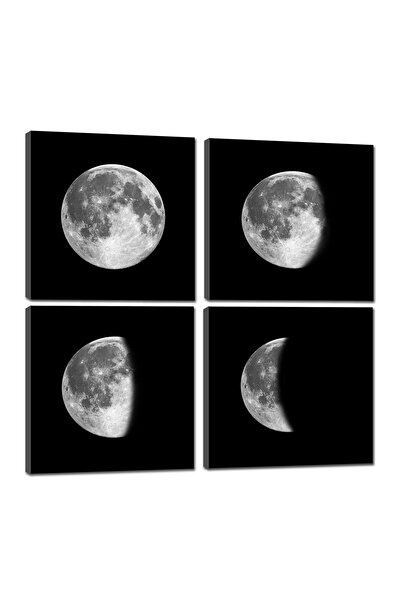 ALAYRA International لوحة جدارية من القماش بتصميم القمر بالأبيض والأسود من AL...