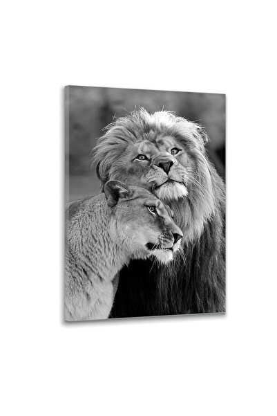 ALAYRA International لوحة جدارية من قماش ألايرا، رسم جداري لزوج من الأسود الأ...